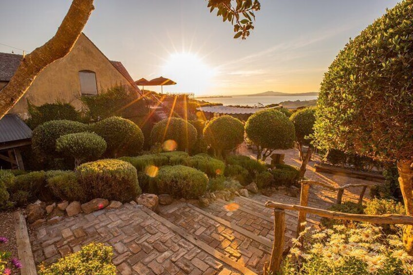 Mudbrick Vineyard at Sunset 