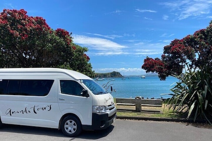 Waiheke Island Half Day Scenic Wine and Lunch