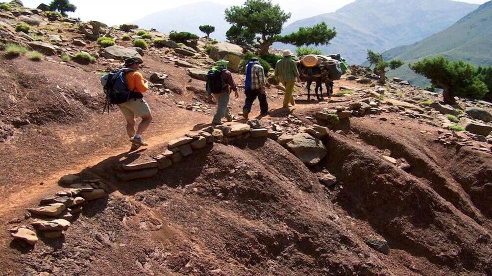 Men hiking along sandy trail with desert plants in 3 Valleys