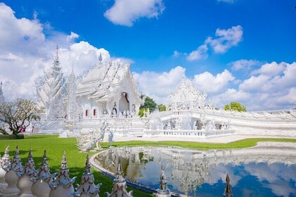 Full Day Tour White Temple Black House and Blue Temple with Lunch