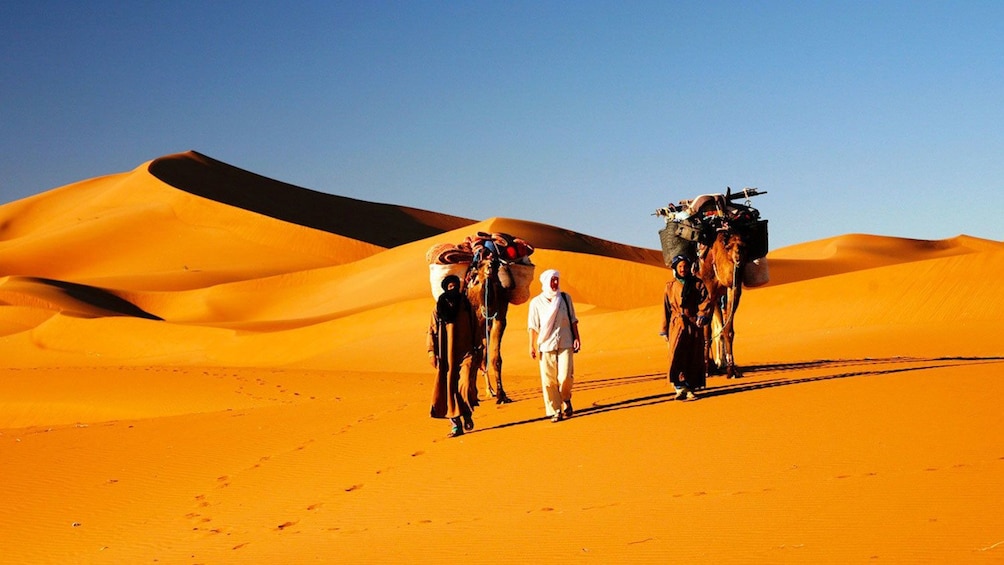 Group on a camel ride through the desert in Marrakech