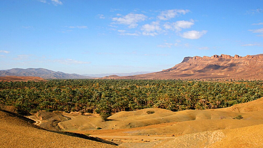 View of the desert in Morocco