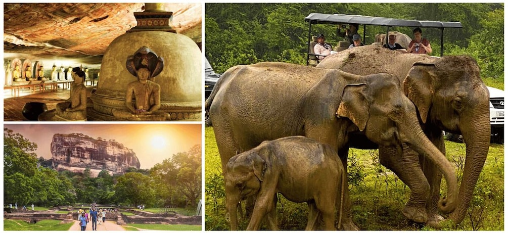 Sri Lanka: Western Province Highlights Day Tour and Safari