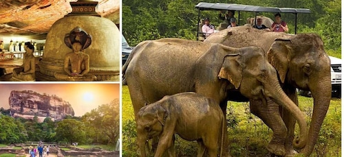 Sri Lanka: Westprovinz Highlights Tagestour und Safari