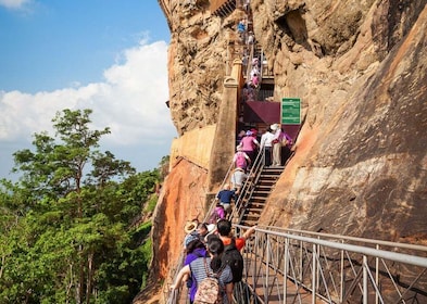 Sri Lanka: tour de un día y safari por lo más destacado de Sigiriya, Dambul...