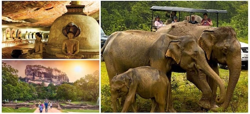 Sri Lanka : Circuit et safari d'une journée dans la province de l'Ouest