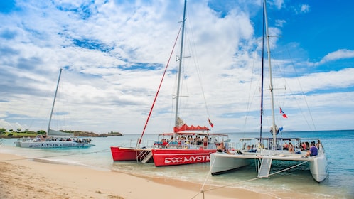 Cades Reef: Sejl og snorkle med frokost og drinks