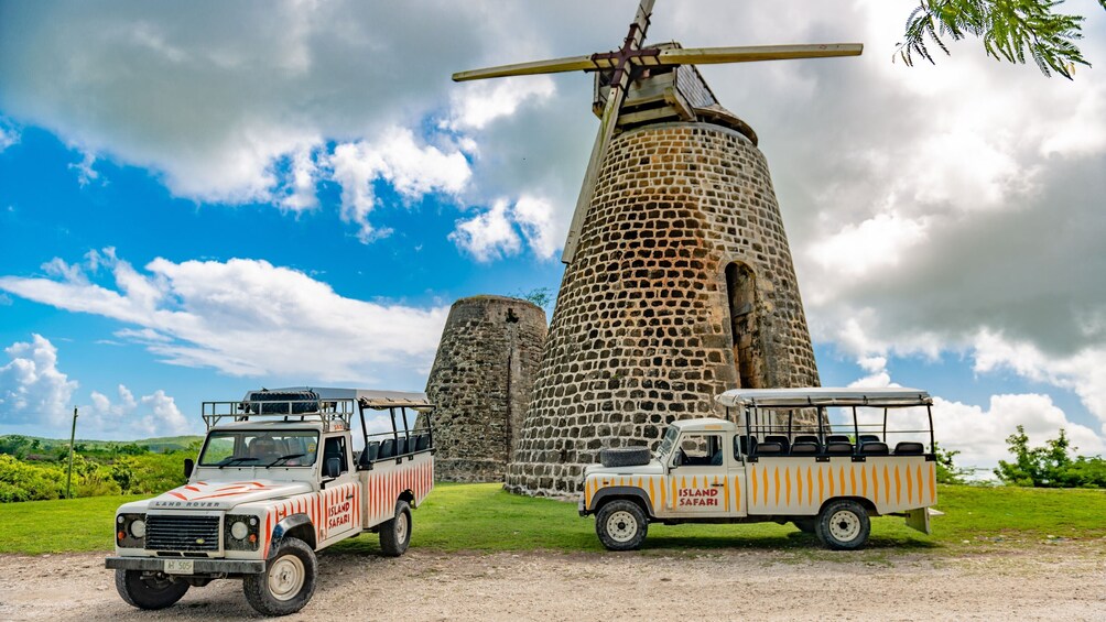 Island Safari Discovery