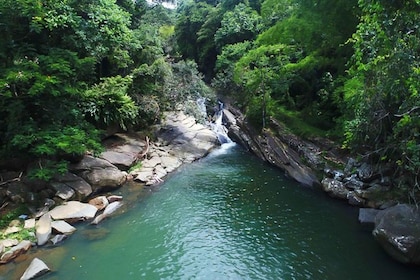 Dari San Juan: Tur Hutan El Yunque yang Terpencil