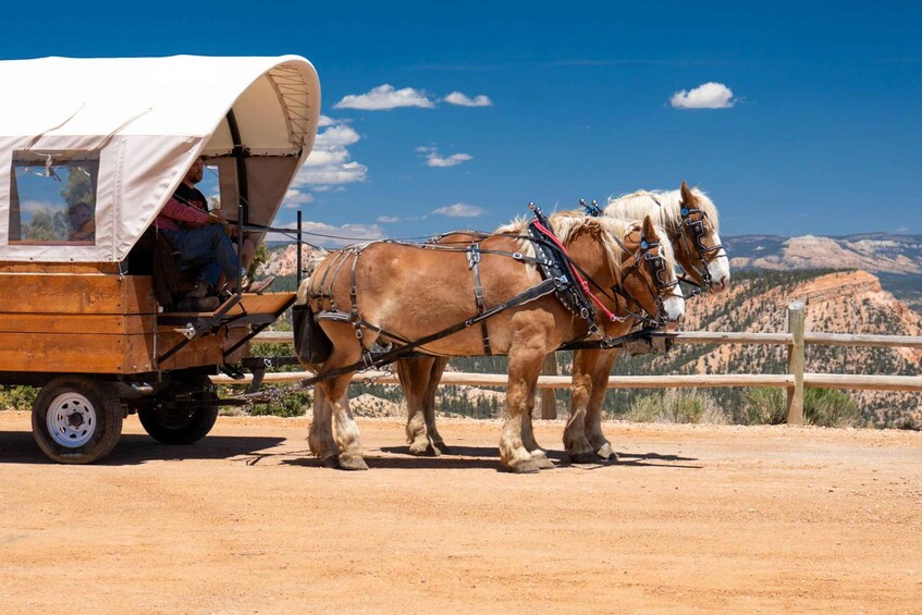 Picture 5 for Activity Bryce Canyon National Park: Scenic Wagon Ride to the Rim