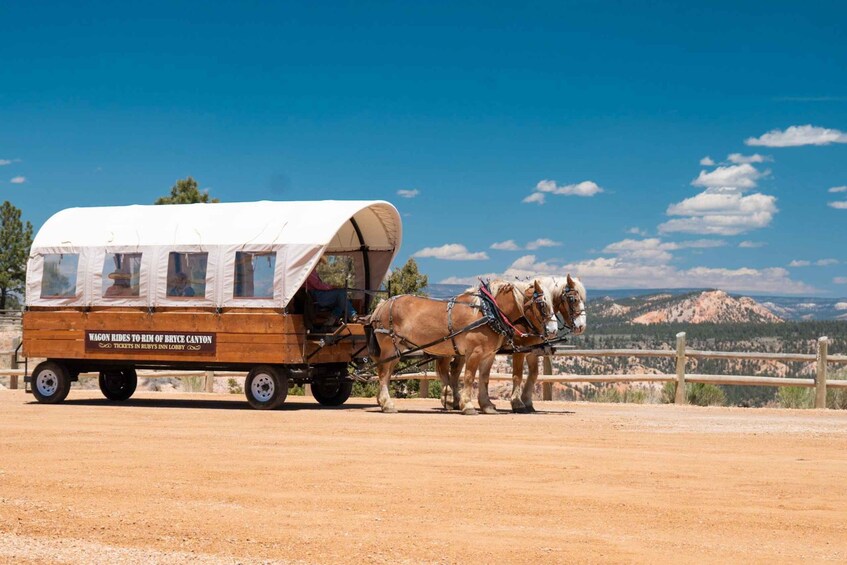 Picture 6 for Activity Bryce Canyon National Park: Scenic Wagon Ride to the Rim