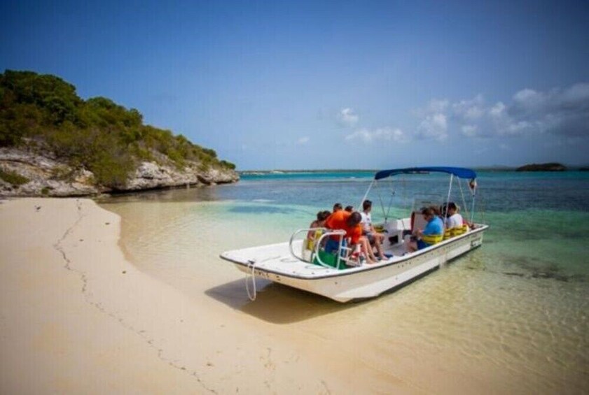 Island Safari & Stingray City