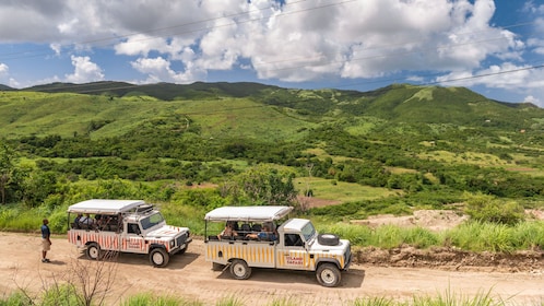 Halvdags Antigua Island Safari & Stingray City