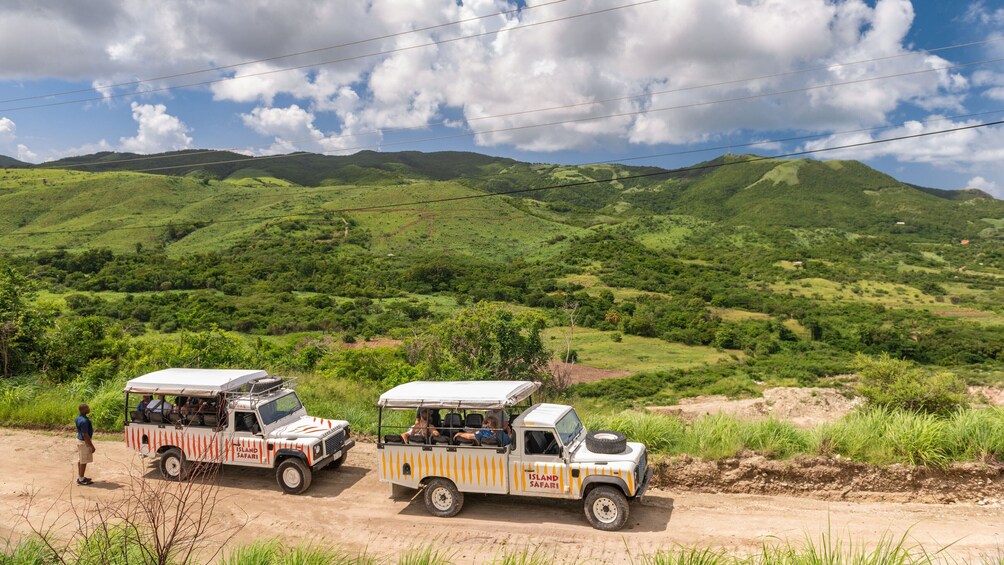 Island Safari & Stingray City