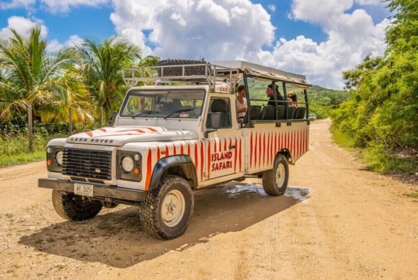 Island Safari & Stingray City