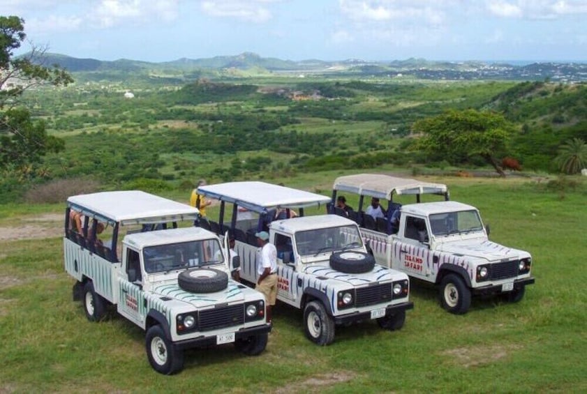 Mystic Island Safari