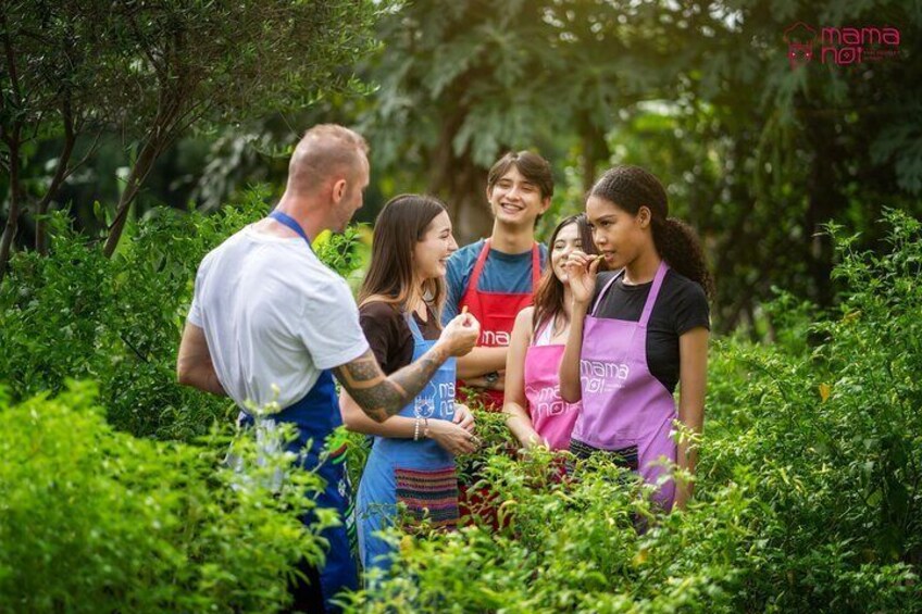 Ingredient tasting at Mama Noi organic garden