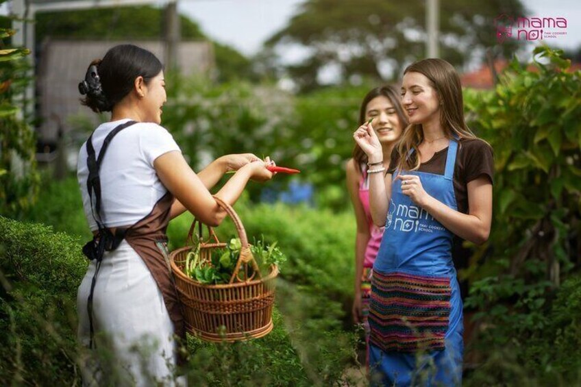 Ingredient tasting at Mama Noi organic garden