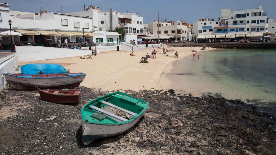 From Lanzarote: Day Trip to Fuerteventura and Corralejo
