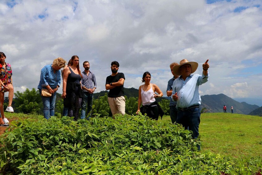 Picture 13 for Activity Salgar: La Manchuria Coffee Reserve Guided Tour with Lunch