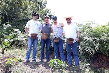 Från Medellin: Privat rundtur med kaffeprovning i Envigado