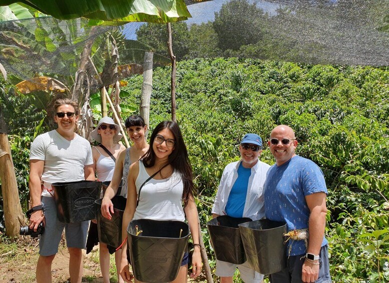 Picture 2 for Activity From Medellin: Private Envigado Coffee Tour with Tastings