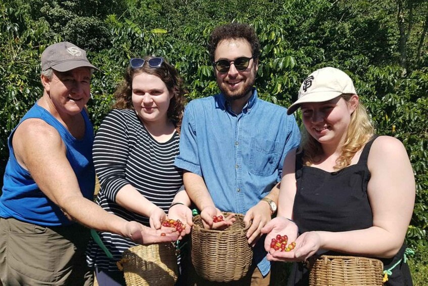 Picture 7 for Activity From Medellin: Private Envigado Coffee Tour with Tastings