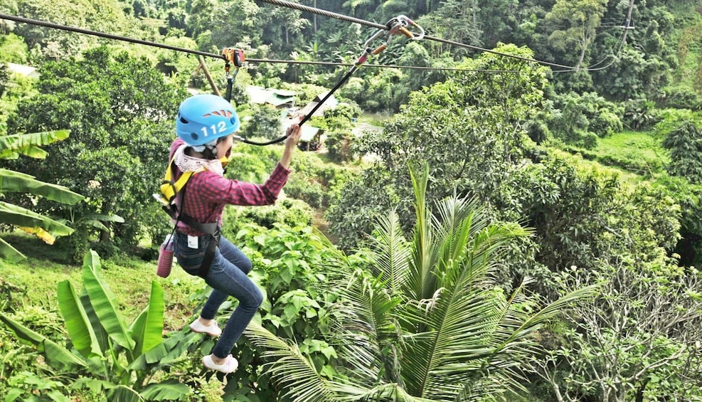 Phoenix Adventure Zipline Park