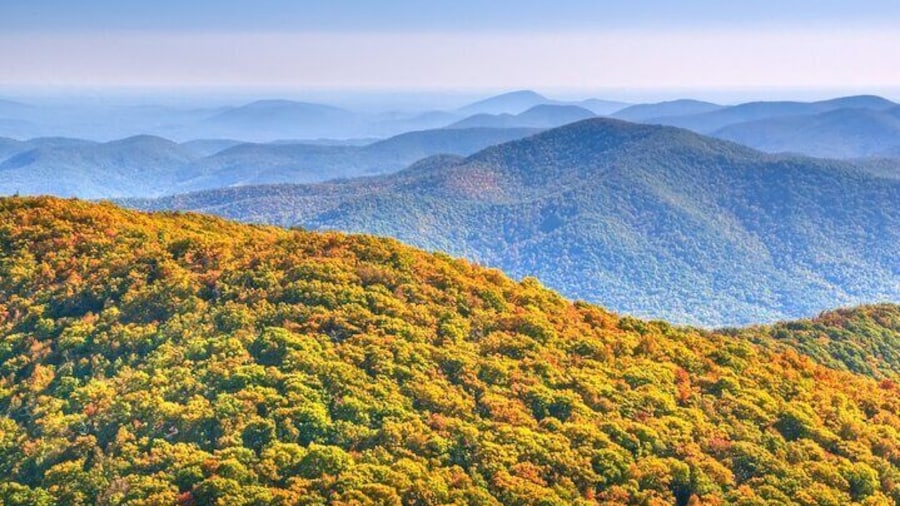 Wine Tastings in North Georgia Mountains and Outlet Shopping