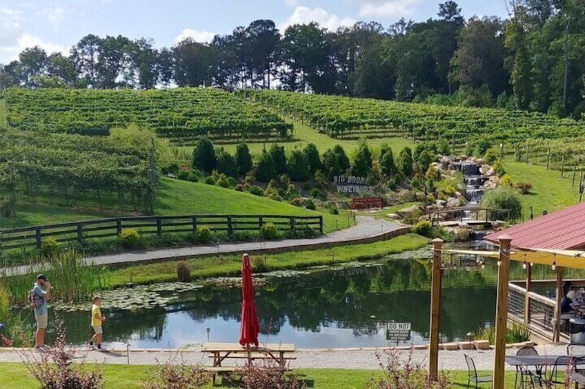 Half-Day Wine Tastings in the North Georgia Mountains and Outlet Shopping