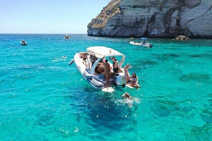 Excursión guiada en barco "Sella del Diavolo" Posible avistamiento de "Delf...