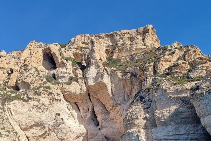 Guided boat excursion "Sella del Diavolo". Possible sighting of "Dolphins"