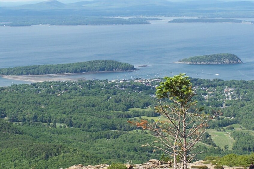 BEST Boston, Portland, Acadia National Park 3-Day Tour from New York