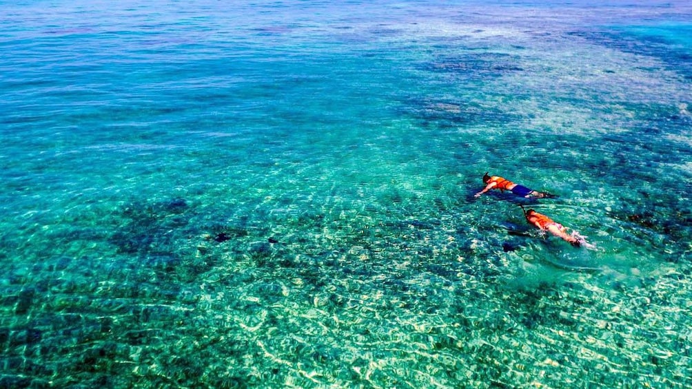 Day Trips from West Palm Beach: Unforgettable Adventures Await