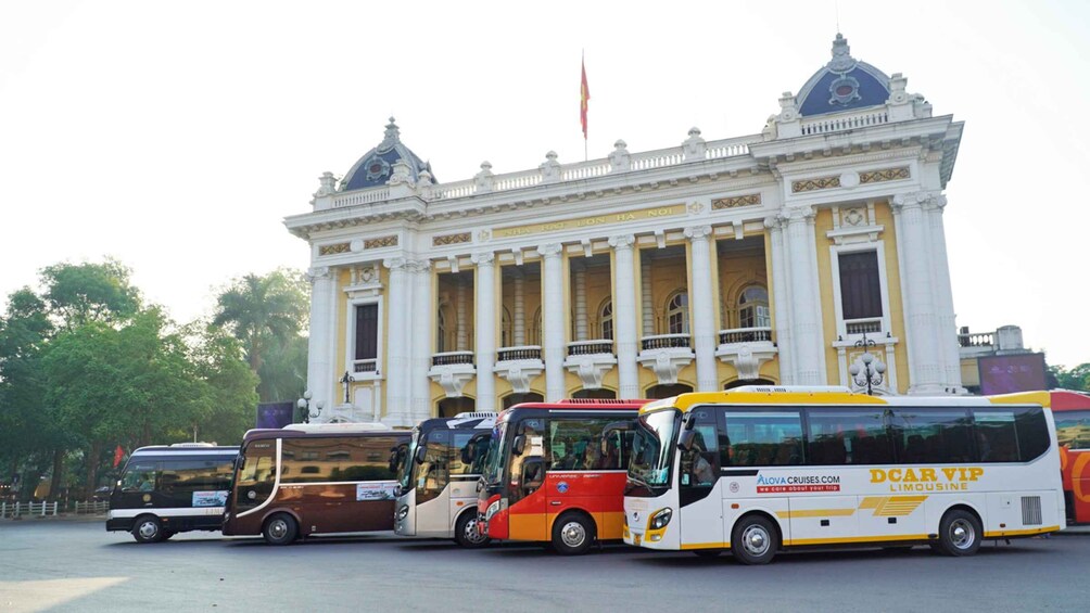 Picture 26 for Activity From Hanoi: Hoa Lu & Tam Coc with Buffet lunch & Cycling