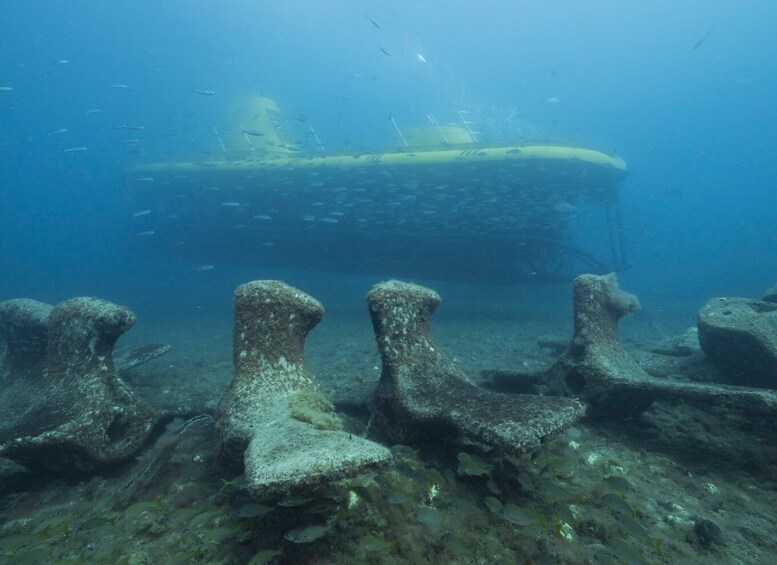 Picture 21 for Activity Puerto de Mogán: Submarine Tour