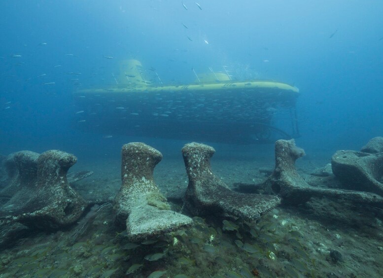 Picture 21 for Activity Puerto de Mogán: Submarine Tour