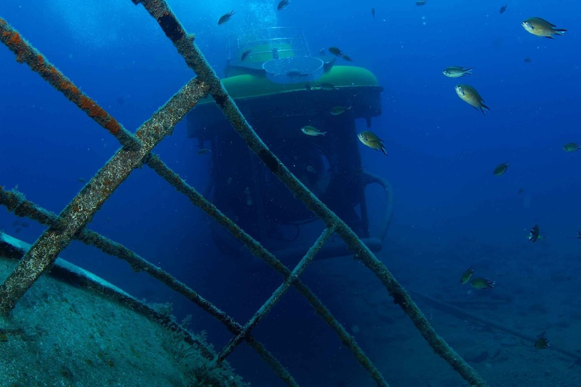 Picture 7 for Activity Puerto de Mogán: Submarine Tour