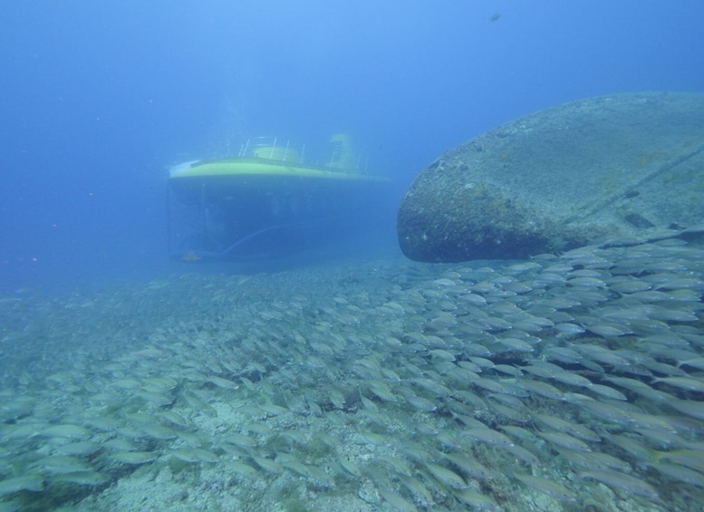 Picture 14 for Activity Puerto de Mogán: Submarine Tour