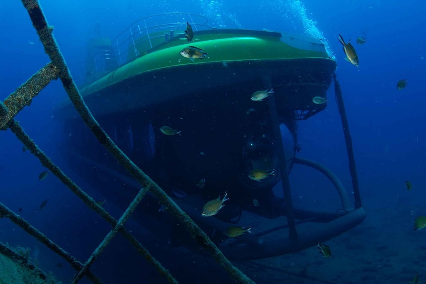 Picture 6 for Activity Puerto de Mogán: Submarine Tour