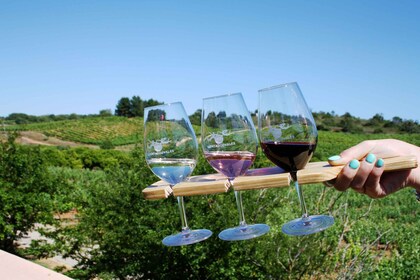 Algarve: 3 Arten von Weinverkostungen mit Blick auf die Weinberge