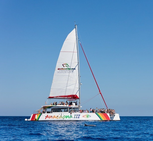 Picture 6 for Activity Alcudia: Sunset Catamaran Tour with Dinner and Snorkeling