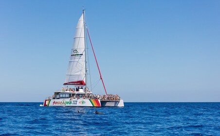 Alcudia: Sunset Catamaran Tour with Dinner and Snorkeling