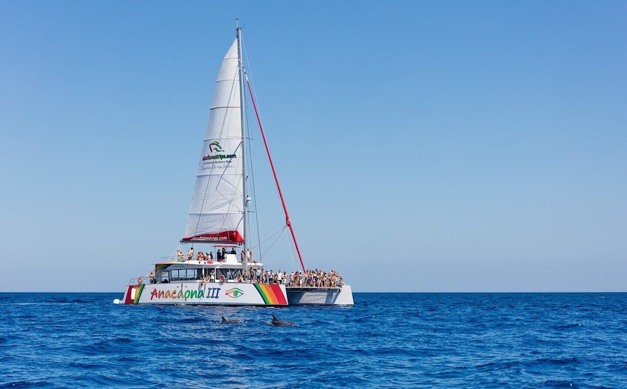 Alcudia: Sunset Catamaran Tour with Dinner and Snorkeling