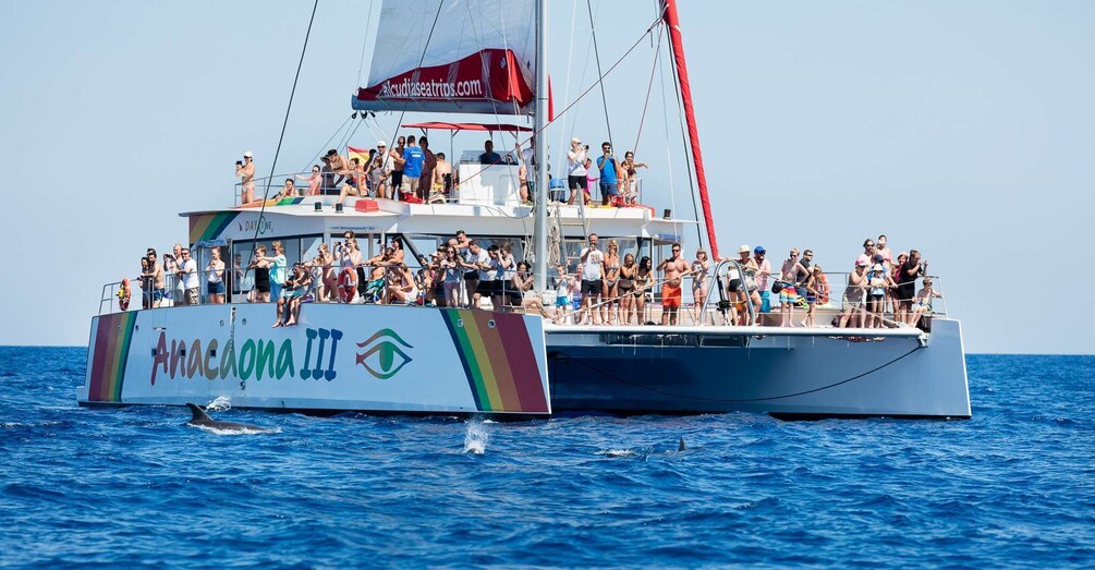 Picture 1 for Activity Alcudia: Sunset Catamaran Tour with Dinner and Snorkeling