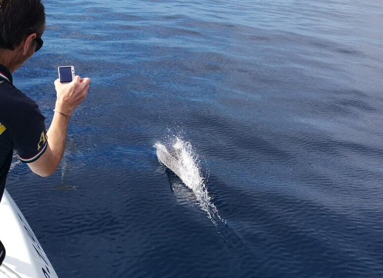 Picture 3 for Activity From Tazacorte: Fast Yacht Tour of La Palma