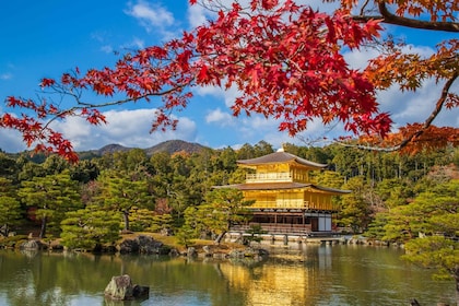 Vanuit Osaka/Kyoto: Kyoto en Nara 1-daagse bustour