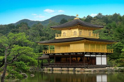 From Osaka/Kyoto: Kyoto and Nara Guided Bus Tour
