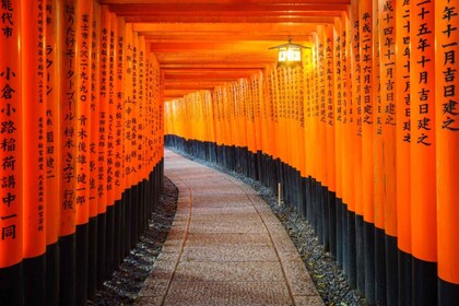 Kyoto: Kinkakuji, Arashiyama, FushimiInari, & Nara Park Tour