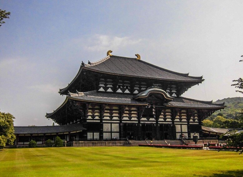 Picture 5 for Activity From Osaka/Kyoto: Kyoto and Nara Guided Bus Tour